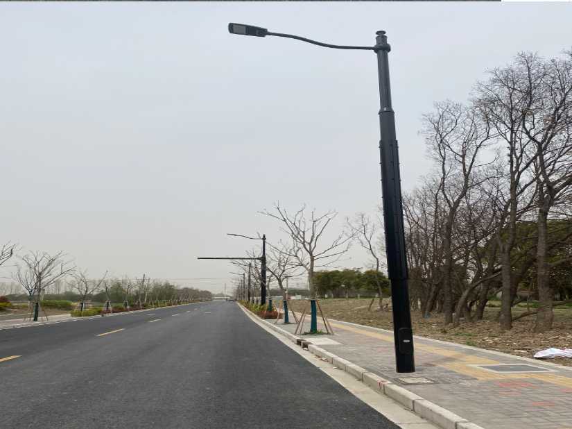 临江市上海综合杆 太阳能路灯工程